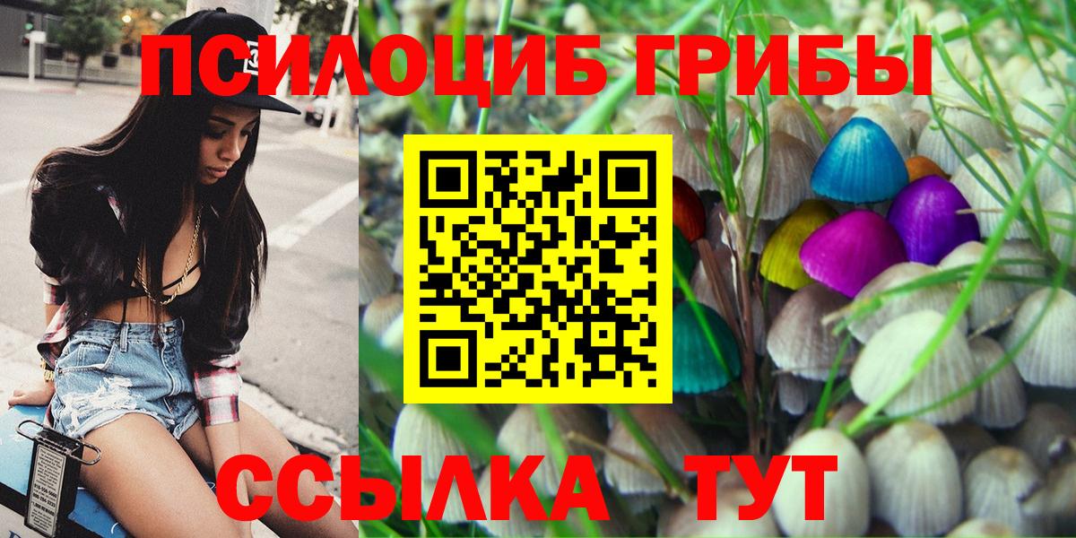 Галлюциногенные грибы Psilocybe Янаул